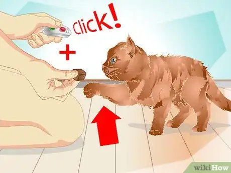 Image intitulée Teach a Cat to "High Five" Step 8